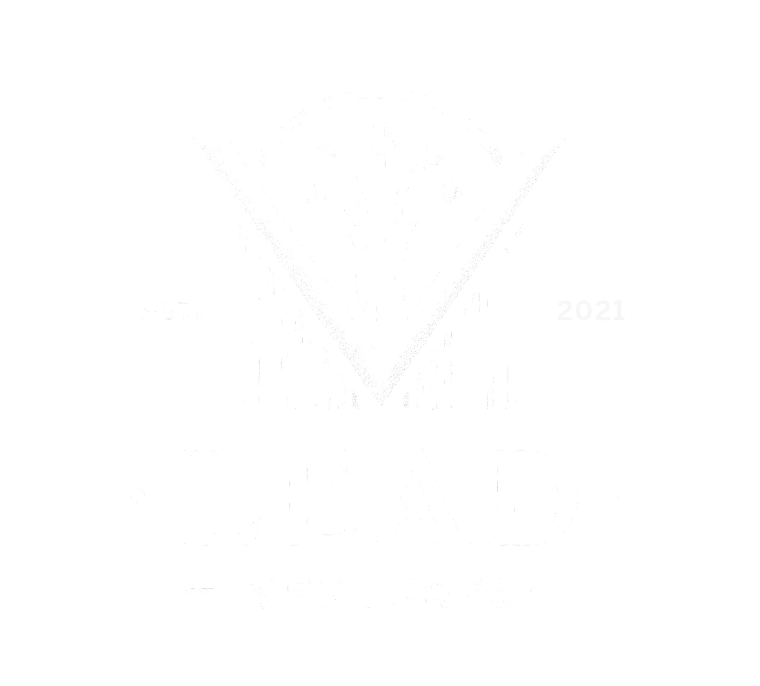 Lead Ventures